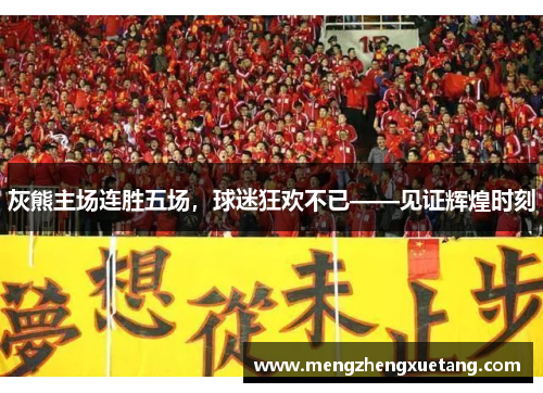 灰熊主场连胜五场，球迷狂欢不已——见证辉煌时刻