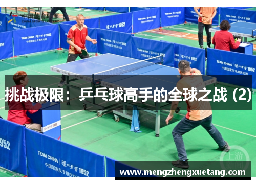 挑战极限：乒乓球高手的全球之战 (2)