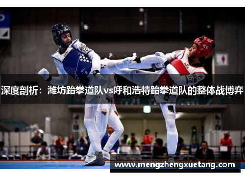 深度剖析：潍坊跆拳道队vs呼和浩特跆拳道队的整体战博弈