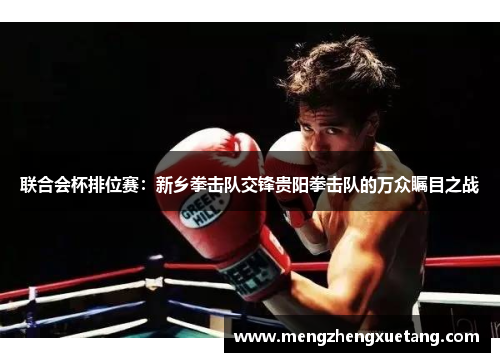 联合会杯排位赛：新乡拳击队交锋贵阳拳击队的万众瞩目之战