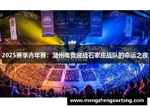 2025赛季青年赛：湖州电竞迎战石家庄战队的命运之夜