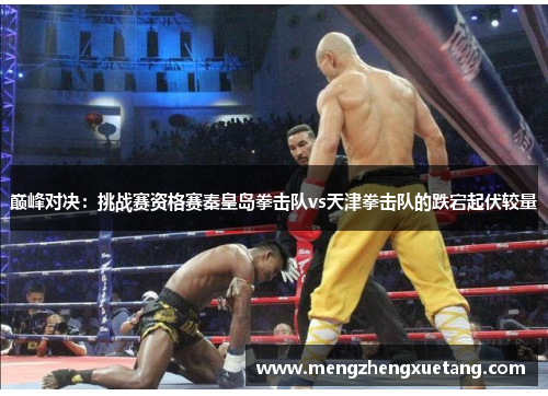 巅峰对决：挑战赛资格赛秦皇岛拳击队vs天津拳击队的跌宕起伏较量